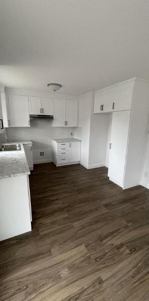 5 1/2 - Montréal (Saint-Leonard) - 1 900 $/mois - Photo 1