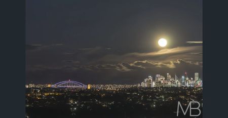 PENTHOUSE-STYLE APARTMENT WITH 270 DEGREE WATER & CITY VIEWS - Photo 5