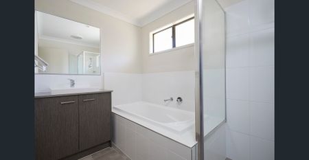 Central Cleveland Low Set Living Available 10 November 2026 - Photo 3