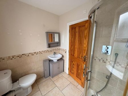 33 Stream Street, Downpatrick, BT30 6DE - Photo 5