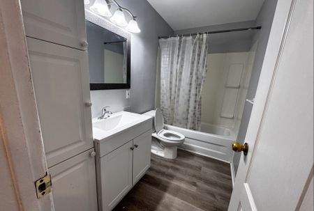For Lease - 244 Demaine Crescent Unit# Main, Richmond Hill, Ontario - Photo 5