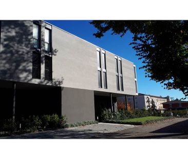 Affitto appartamento 3.5 locali con giardino - Photo 4