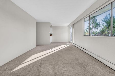1 Bedroom - Photo 2