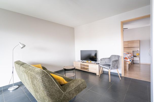 Location Appartement 2 pièces Meublé 44m² ANNECY 74000 - Photo 1