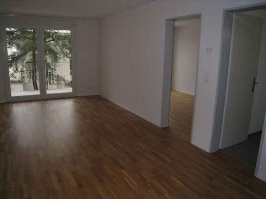 Modernes und ruhiges Wohnen - Foto 1
