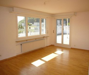 3½ Zimmer Attikawohnung mit Weitsicht - Photo 1