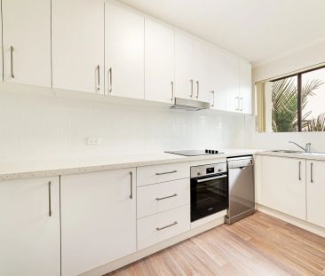 Freshly Updated Two Bedroom Apartment with Leafy Outlook - Photo 3