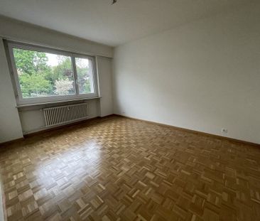 Charming apartment in Allschwil - Photo 3