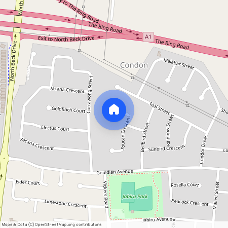 19 Toucan Crescent, Condon QLD 4815