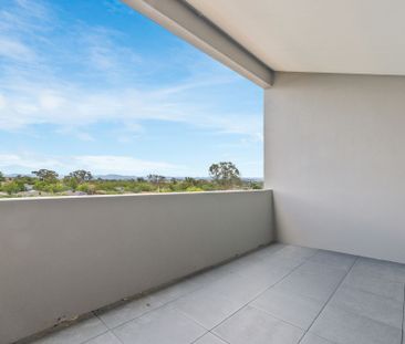 12 Pioneer Street, Amaroo ACT 2914 - Apartment For Rent | Domain - Photo 4