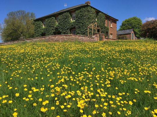 Beautiful & Spacious Barn Conversion to Let in Fitzhead - Photo 1