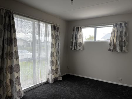 Bangor Street, Flaxmere - Photo 5