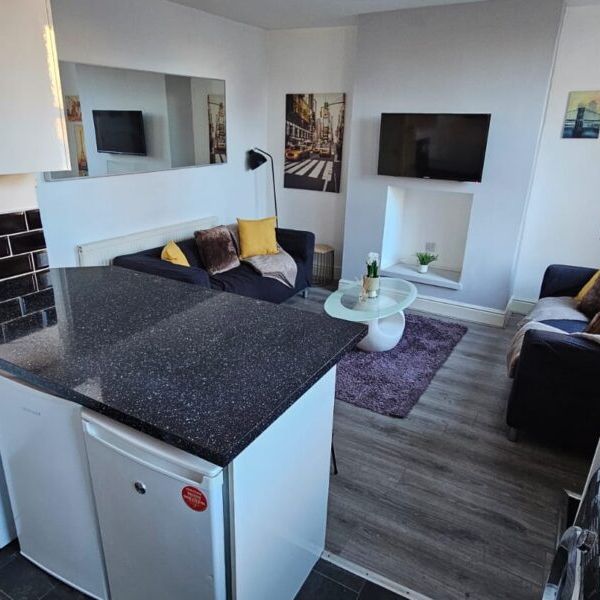 Harold Mount, Hyde Park, LS6 1PW - Photo 1