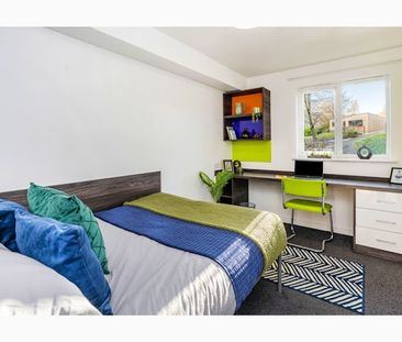 Premium Ensuite - Photo 4