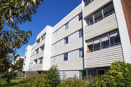 Hamnplan 2 A, 94161, Piteå - Foto 4