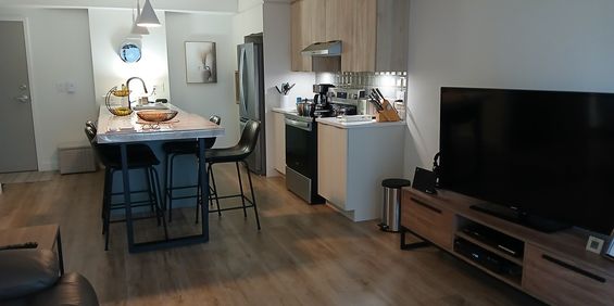 Magnifique 3 1/2 Neuf à Sous Louer Pour - Photo 3
