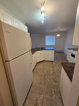 2 bedroom 1 bathroom condo UTILITIES INCLUDED - Photo 1