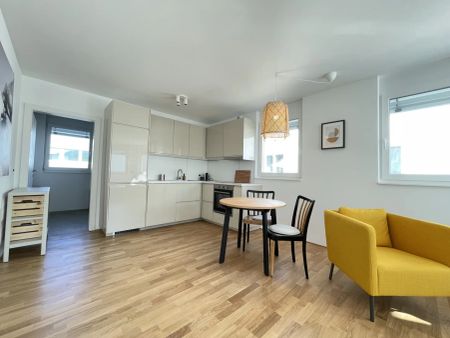 Moderne 1-Zimmer Wohnung mit Stellplatz - Hohenweiler - Foto 3