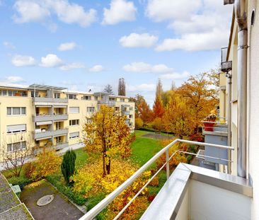 Living near Lake Lucerne - Photo 5