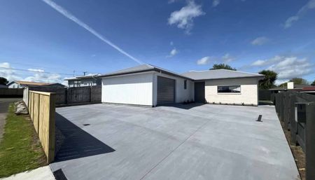 Brand new 3 bedroom in Vogeltown - Photo 4