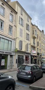 Location Appartement 1 pièce 25m² ANNONAY 07100 - Photo 4