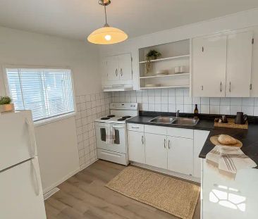 744 Elgin Ave — 744 Elgin - Photo 4