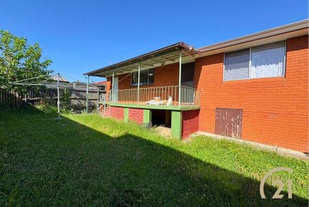 Spacious 4 Bedroom Family Home – Water Included | Brand New Kitchen! - Photo 5