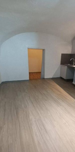 Location appartement chambre 2 pièces 29 m² à Mende (48000) - Photo 1