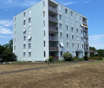 Location Appartement 3 pièces 70m² LE BOUSCAT 33110 - Photo 4