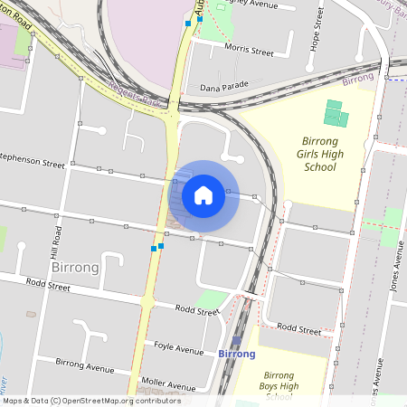 13 Neutral Avenue, NSW 2143, Birrong