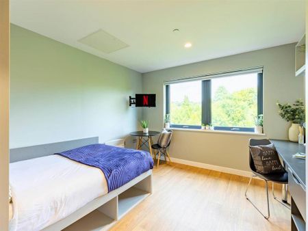 Studio to rent - Photo 5