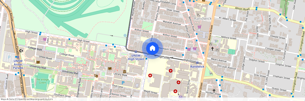 45 Botany Street, Sydney, New South Wales 2031