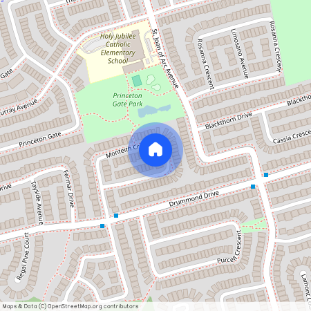 109 Monteith Crescent #Bsmnt, Vaughan, Maple