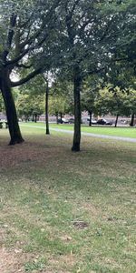 Paramaribostraat 79 - Photo 3