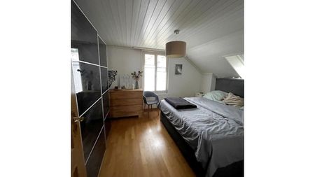 3½ Zimmer-Dachwohnung in St. Gallen, möbliert, auf Zeit - Foto 4