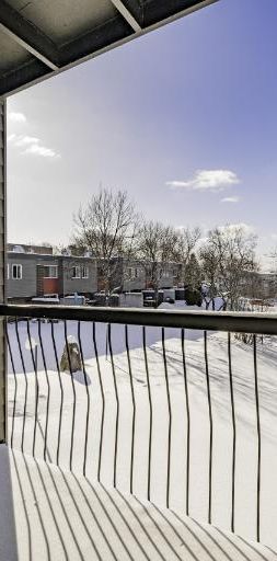 Loft à louer juillet 2026 - Photo 1