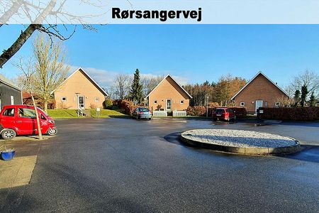 Rørsangervej,Teglvænget,Birkefredsvej 446-0 - Photo 5