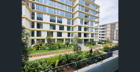 Within sought after school catchment areas! Modern 2 Bedroom Apartment in Prime Willoughby Location! - Photo 4