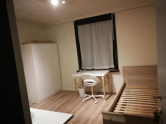 kamer 3 - Driet­o­re­kens­straat 6 - Photo 1