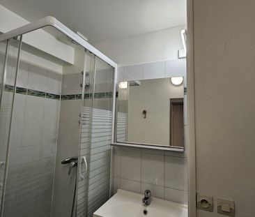 Location Appartement 1 pièce 19m² FONTAINEBLEAU 77300 - Photo 3