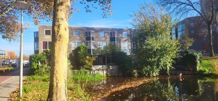 Doortocht 6, Zuidplas Dalen, 2914KA, Nieuwerkerk Aan Den Ijssel - Photo 3