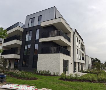 Appartement te huur in Putte - Foto 3