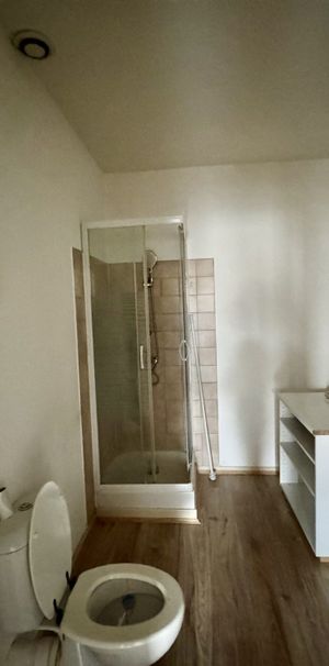 Location Appartement 1 pièce 37m² ALBI 81000 - Photo 2