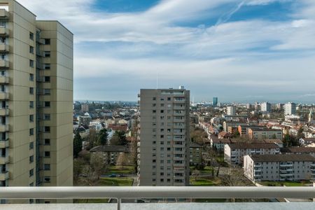 Herrliche Weitsicht über Birsfelden gesucht - Photo 3