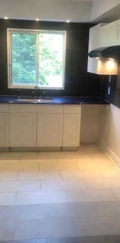 4 1/2 - Montréal (Saint-Laurent) - 1 700 $/mois - Photo 1