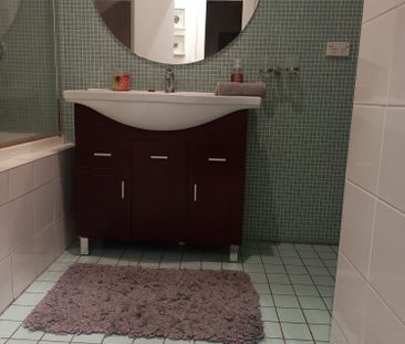 Hurlstone Park - Photo 6