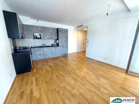 gut geschnittene 2-Zimmer-Wohnung mit großer Terrasse in bester Lage Tullns - zentral - Ruhelage - Photo 3