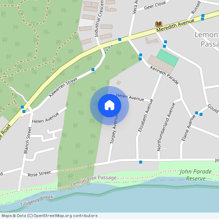8 Torpey Avenue, Lemon Tree Passage, NSW 2319
