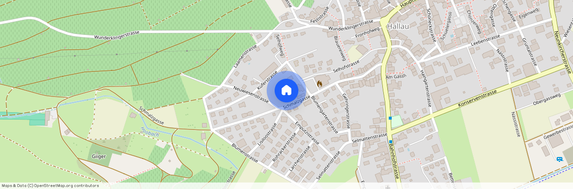 8215, Hallau, Schmalzgasse, 50