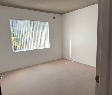 Spacious Newly Renovated Apartment in Prime Allawah Location - Photo 3